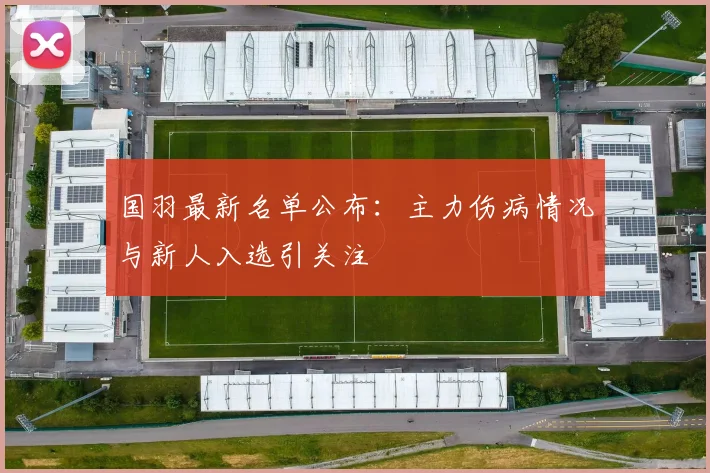 国羽最新名单公布：主力伤病情况与新人入选引关注