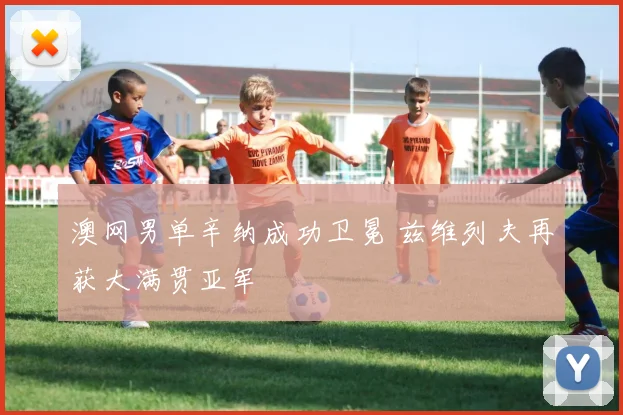澳网男单辛纳成功卫冕 兹维列夫再获大满贯亚军