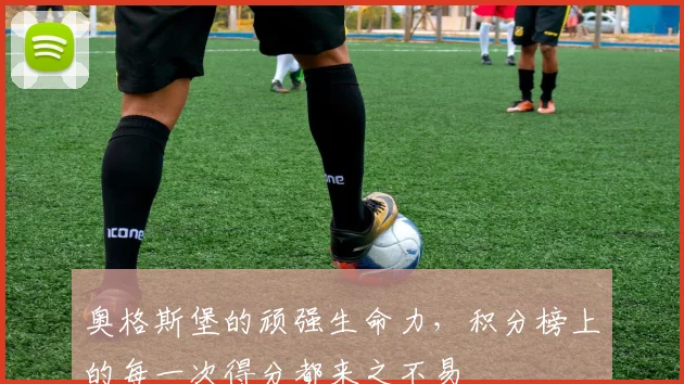 奥格斯堡的顽强生命力，积分榜上的每一次得分都来之不易