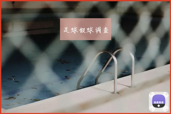 足球假球调查