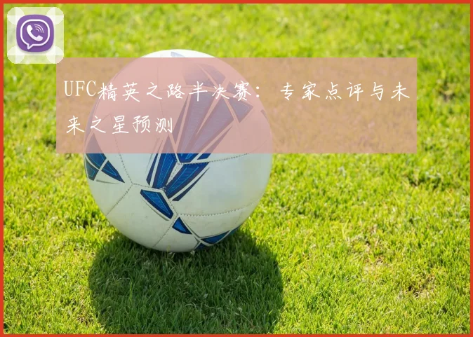 UFC精英之路半决赛：专家点评与未来之星预测