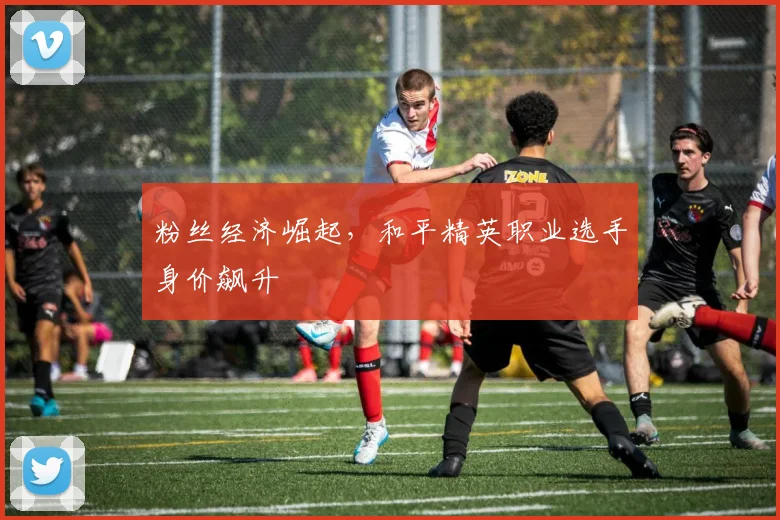 粉丝经济崛起，和平精英职业选手身价飙升