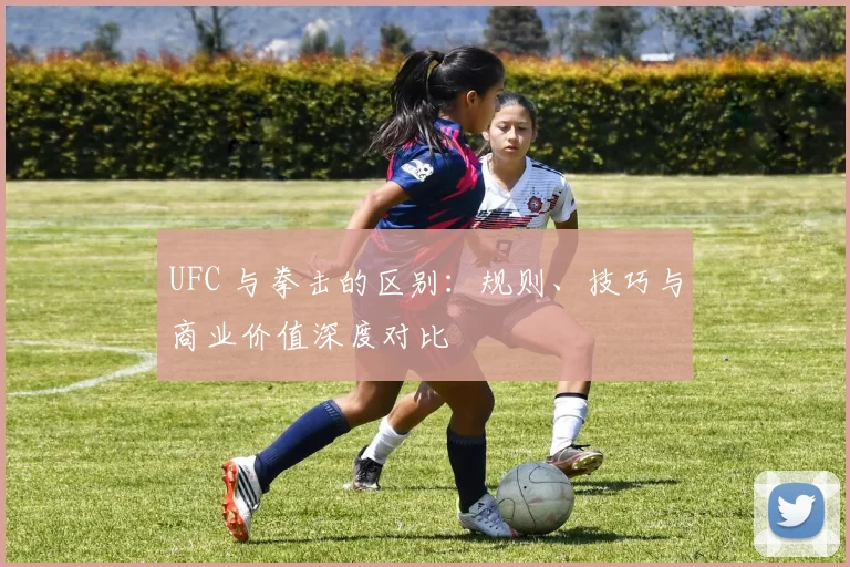 UFC 与拳击的区别:规则、技巧与商业价值深度对比